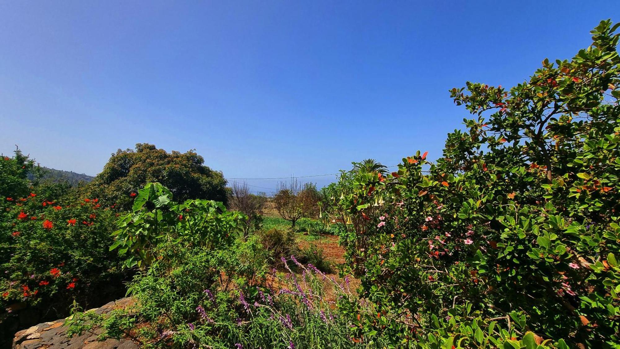 Villa El Jocamo Puntagorda Esterno foto