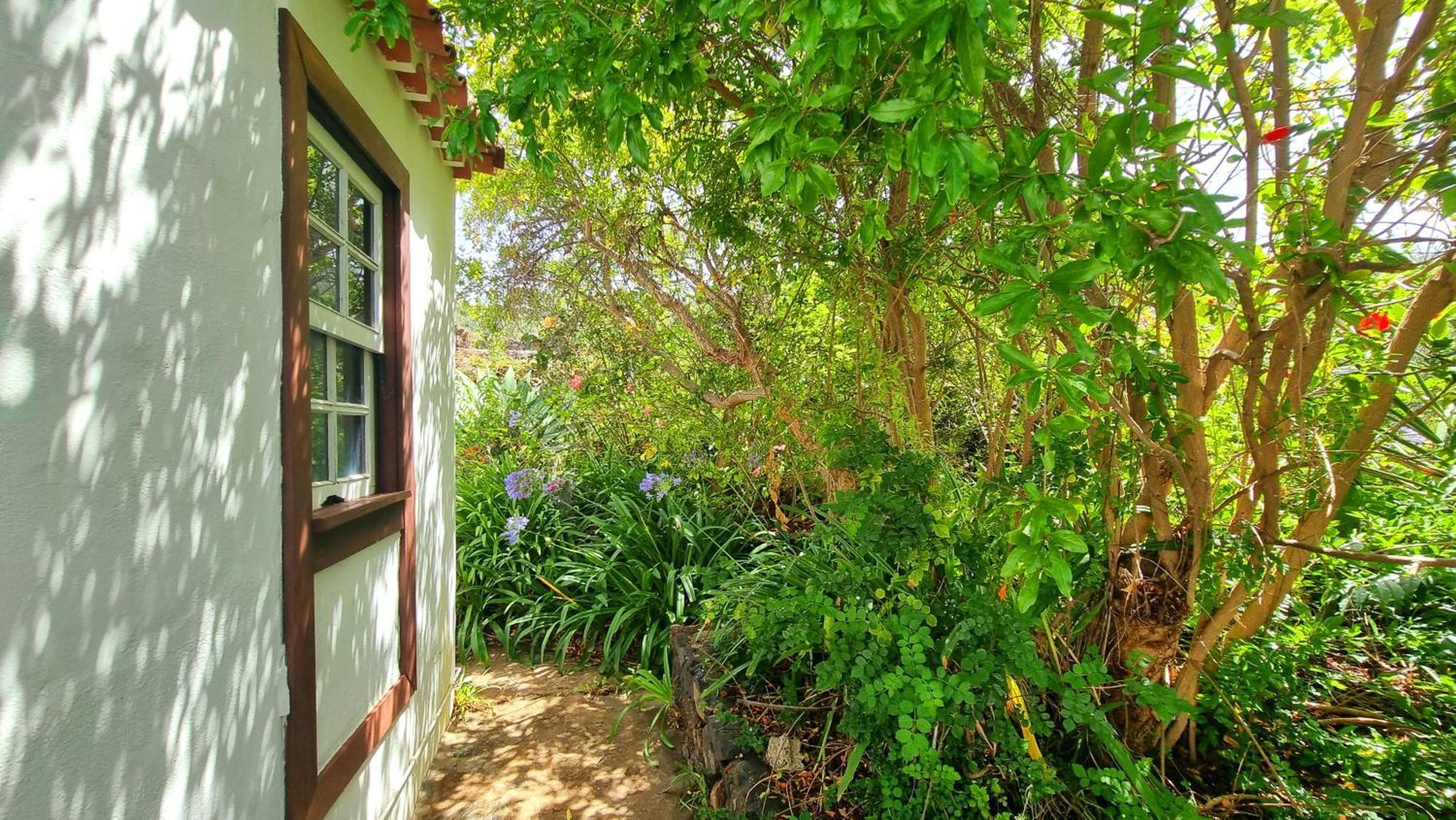 Villa El Jocamo Puntagorda Esterno foto