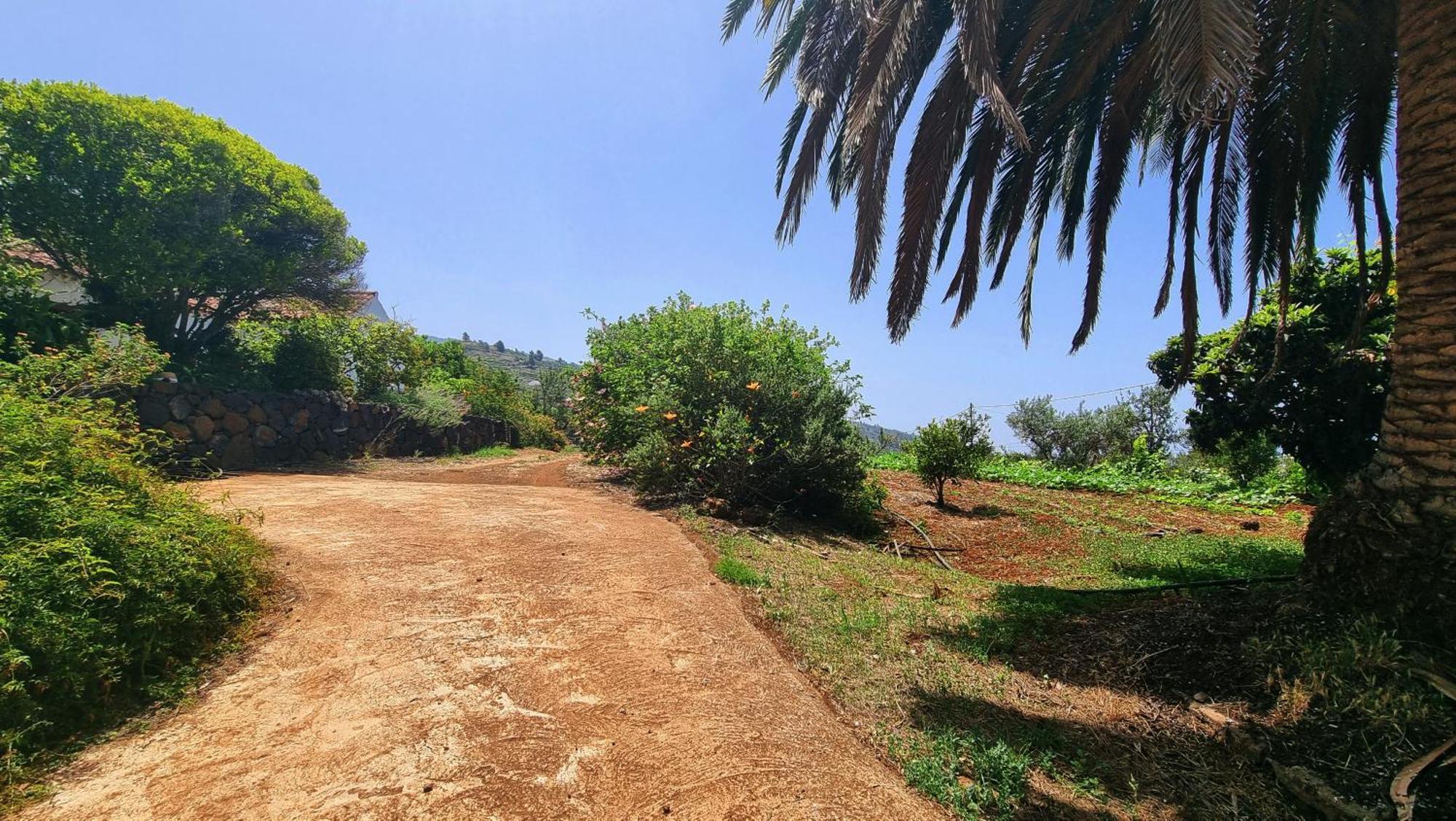 Villa El Jocamo Puntagorda Esterno foto